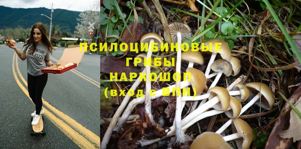 марихуана Баксан